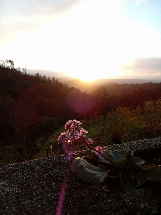 Bela Vista Alqueve - Traditional Stone House And Private Pool Arganil Bagian luar foto
